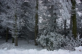 冬天,成熟,eiskristalle