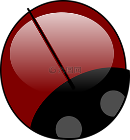瓢蟲(chóng),空白,昆蟲(chóng)