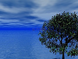 海,海洋,天空