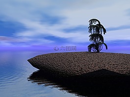 海,海洋,水