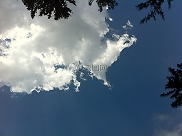 樹,云,分支機(jī)構(gòu)