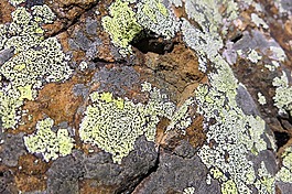 石,編織,模式