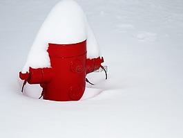 雪,顏色,紅色
