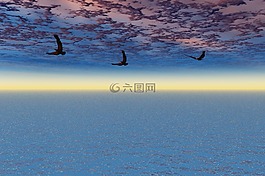 鷹,光頭,鳥(niǎo)