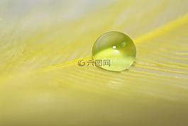 下降,滴,羽毛
