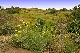 自然保護區(qū),布雷卡,希爾
