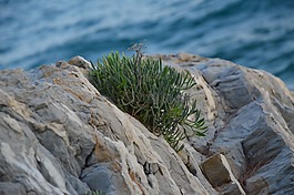海,水,巖