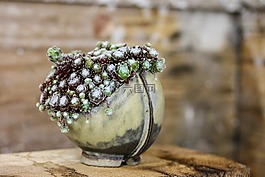 藝術創作,植物,陶瓷