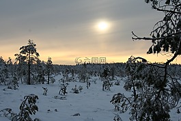 雪,冬天,torro