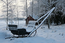 冬天,雪橇,雪