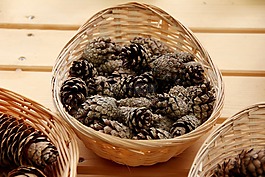 松果,自來水,冬天