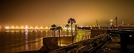 有霧,夜,晚上