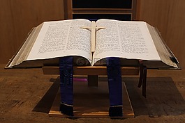 圣經(jīng),大眾,書
