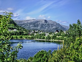 挪威,山,森林