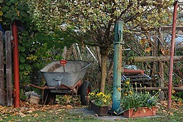 花園,獨(dú)輪車,泵