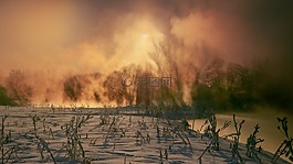 冬季,早上,雪