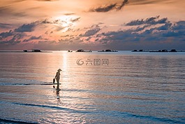 水,日落,日出