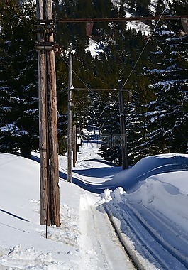 滑雪,阿爾卑斯山,雪