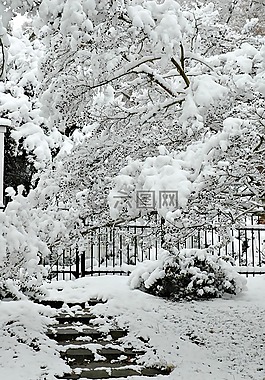 冬天,雪,步驟