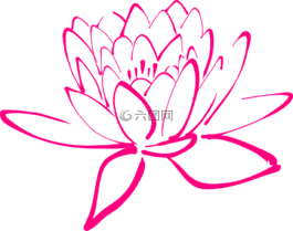 花,粉紅色,開花