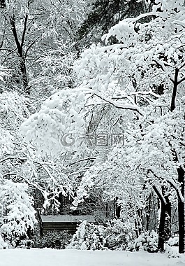 冬天,雪,機艙