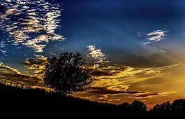 剪影,日落,天空