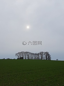 campagne,冠軍,德斯 阿爾