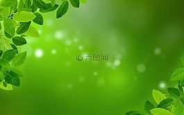 薄荷,葉子,背景