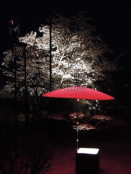 日本,k,城堡