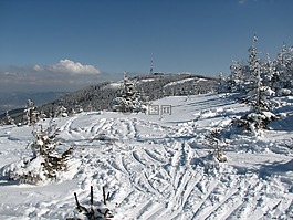 視圖,滑雪板,雪