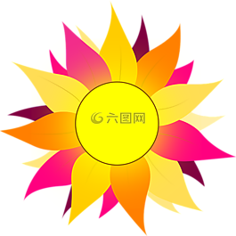 太阳,花,橙色