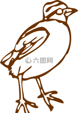 鳥(niǎo),麻雀,山雀