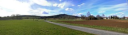 dünsberg,景观,山