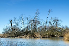 性質(zhì),人體內(nèi)的水,景觀