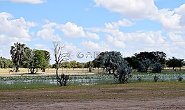 纳米比亚,oshana,非洲