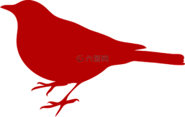 黑鳥,坐,側(cè)影