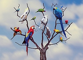 鸚鵡,鳥,顏色