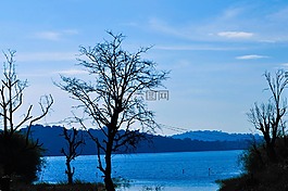 蓝色,天空,湖泊