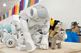 機器人,信息學,控制論