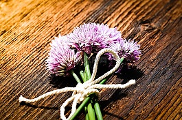 韭菜,鲜花,韭菜开花