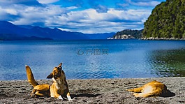 海,海洋,水