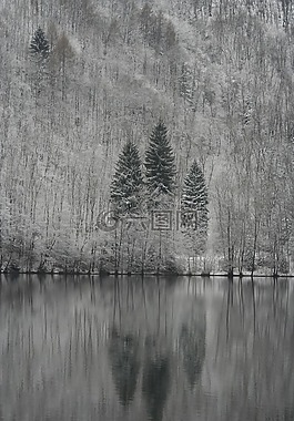 景觀,湖,山
