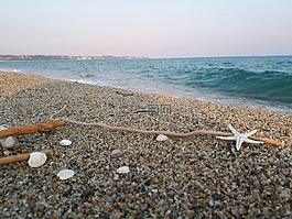 海灘,貝殼,沙
