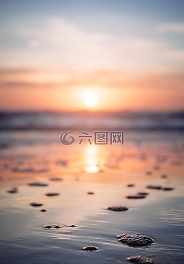 海,海洋,水