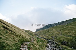 綠色,草,高原