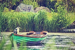 船,鷺,湖