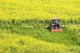 春天,字段,農業