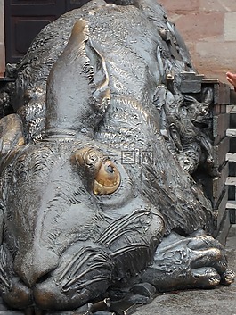 dürer,野兔,艺术