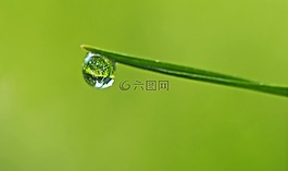 廠,性質(zhì),活