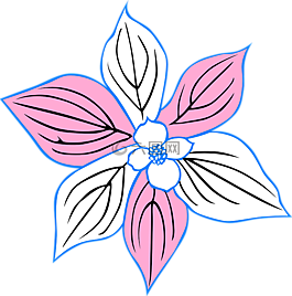 花,開花,葉子